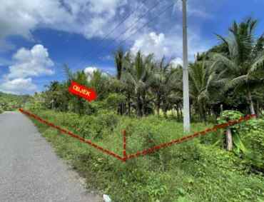 dijual tanah jl raya pindol desa
