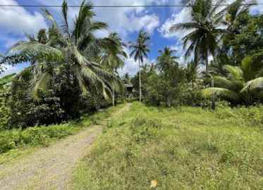 dijual tanah jl raya pindol desa