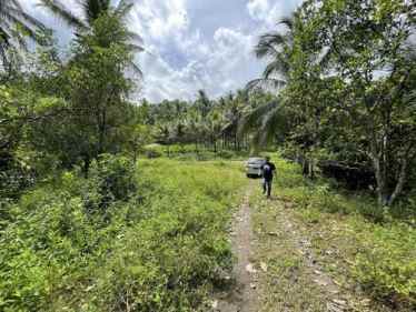 dijual tanah jl raya pindol desa