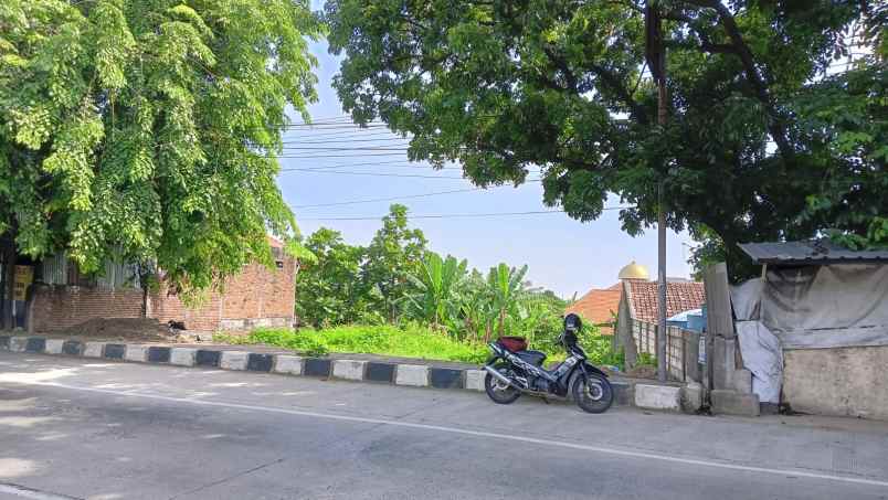 dijual tanah jl raya walisongo