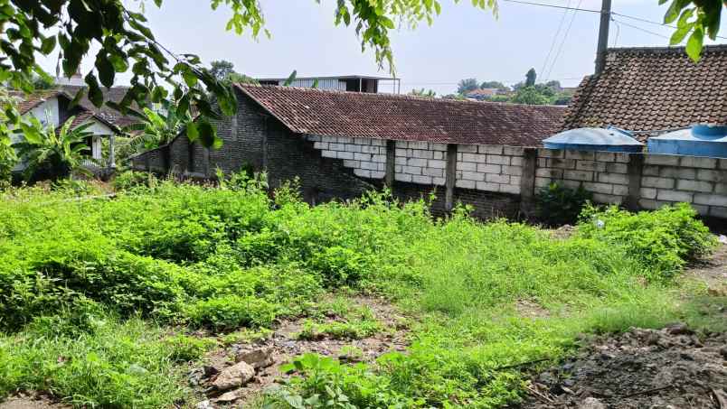 dijual tanah jl raya walisongo