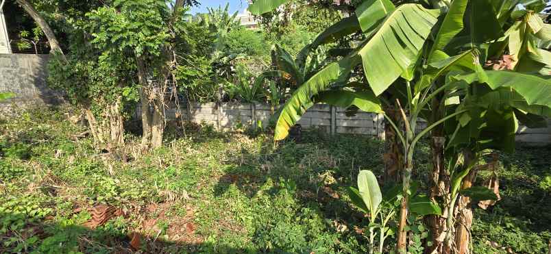 dijual tanah jl semboja no 2 rt 3 rw 8