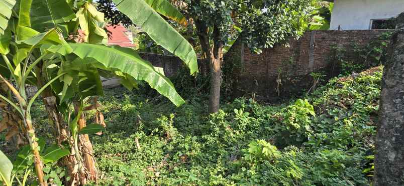 dijual tanah jl semboja no 2 rt 3 rw 8