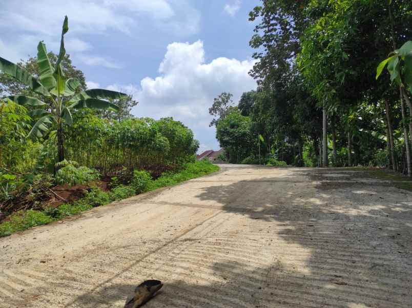 dijual tanah kalisegoro unes