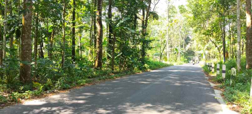 dijual tanah mangku jln raya prambanan glagaharjo