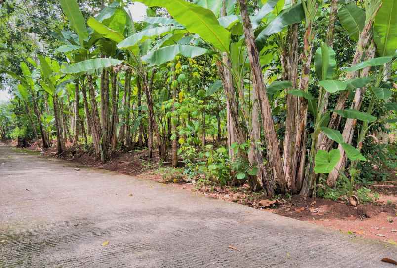 dijual tanah mojogedang karanganyar