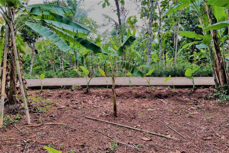 dijual tanah mojogedang karanganyar