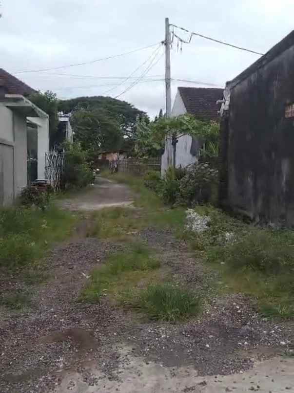 dijual tanah nangka selatan