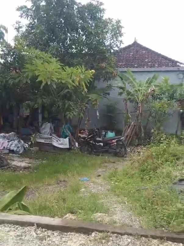dijual tanah nangka selatan