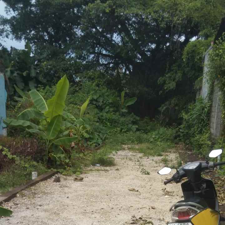 dijual tanah nangka selatan
