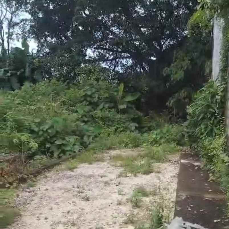 dijual tanah nangka selatan