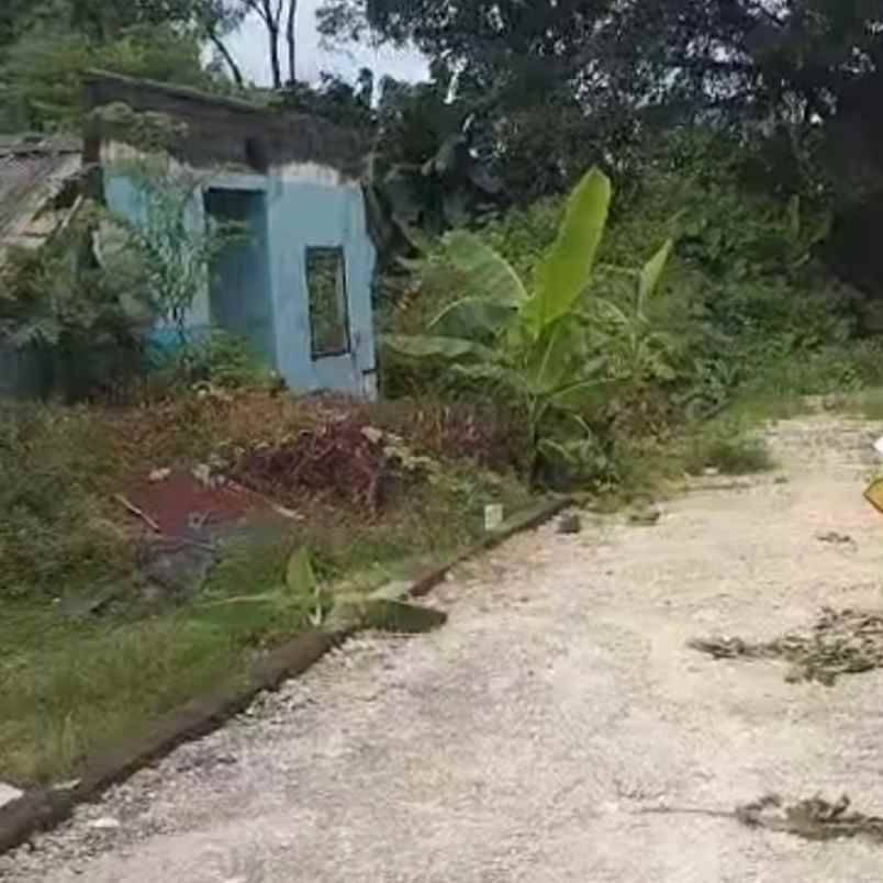 dijual tanah nangka selatan