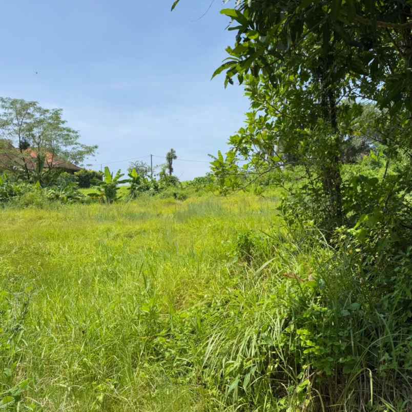 dijual tanah pantai nyanyi