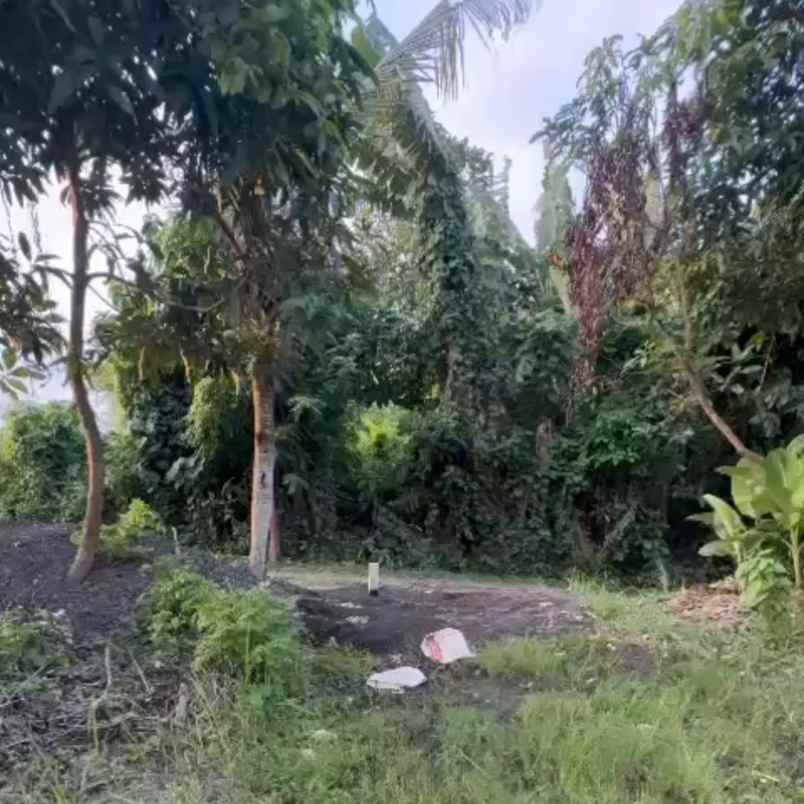 dijual tanah pantai nyanyi