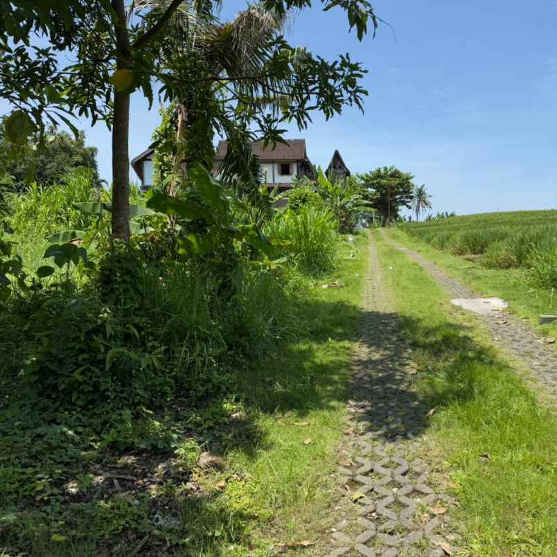 dijual tanah pantai nyanyi