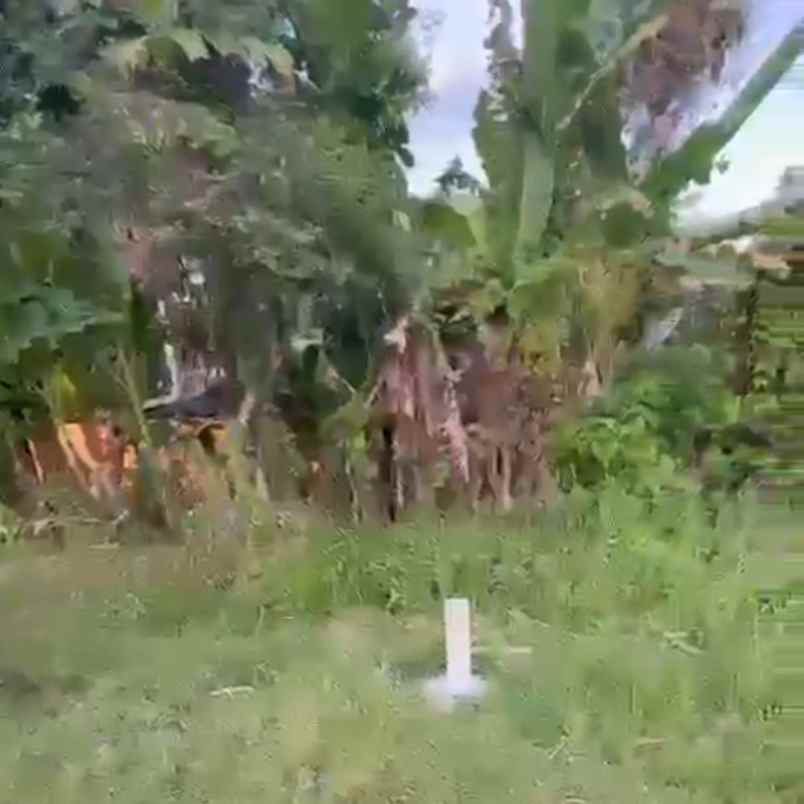 dijual tanah pantai nyanyi