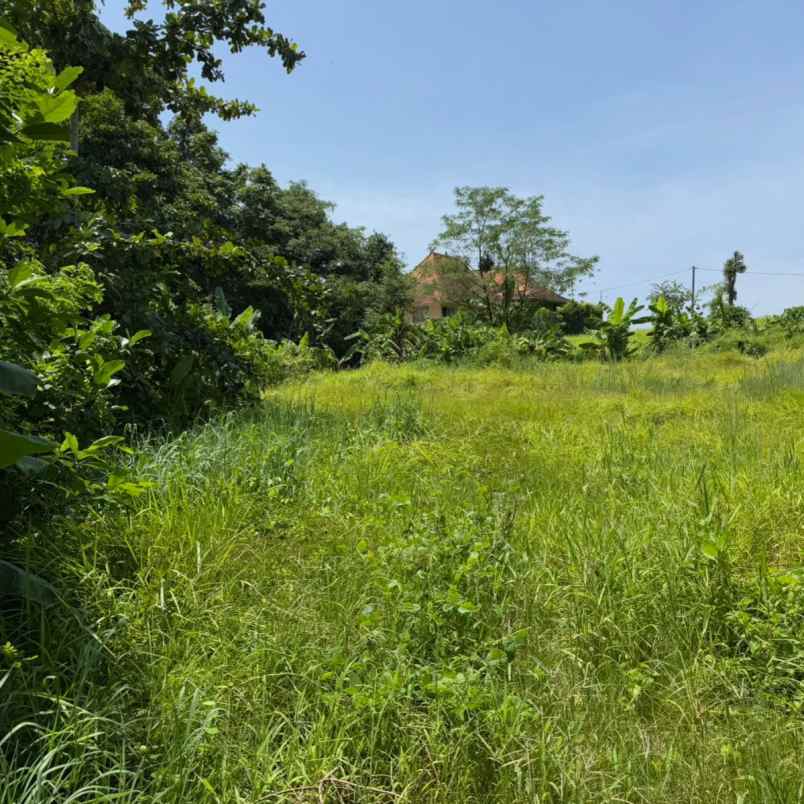 dijual tanah pantai nyanyi