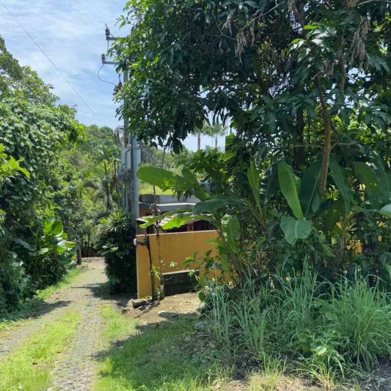 dijual tanah pantai nyanyi