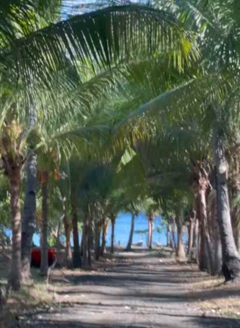 dijual tanah pasir putih situbondo