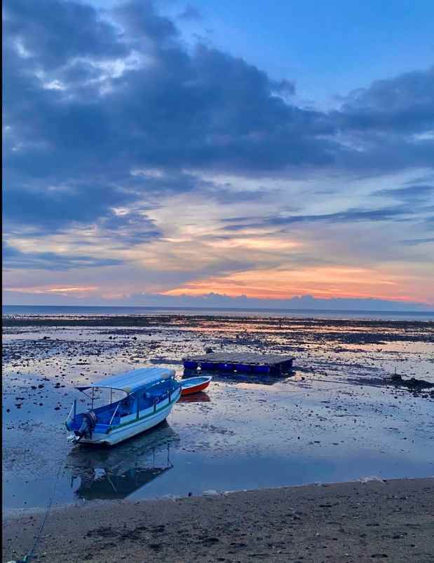 dijual tanah pasir putih situbondo