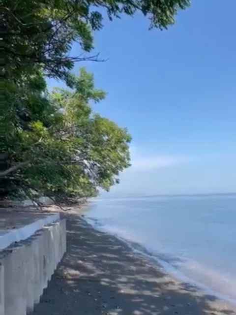 dijual tanah pasir putih situbondo