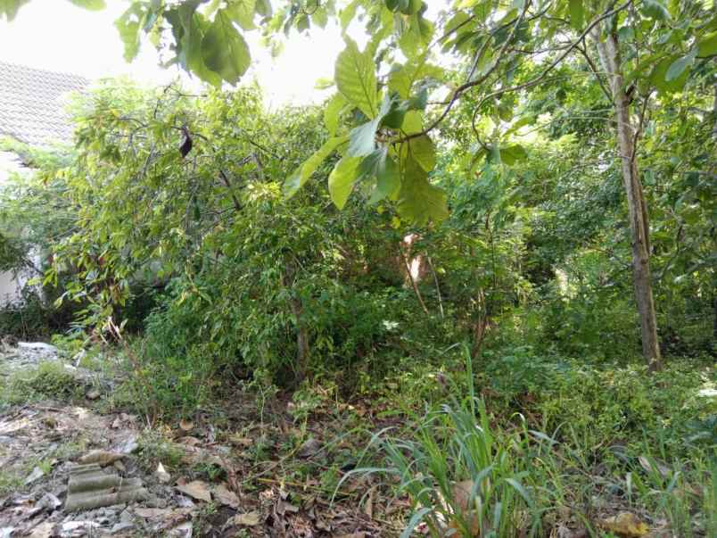 dijual tanah perumahan puri balecatur