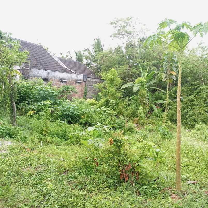 dijual tanah perumahan puri balecatur