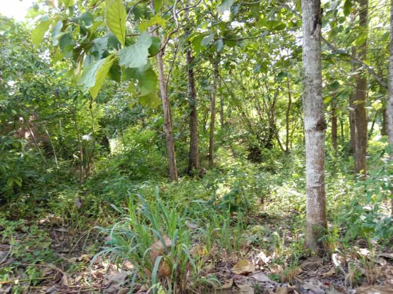 dijual tanah perumahan puri balecatur