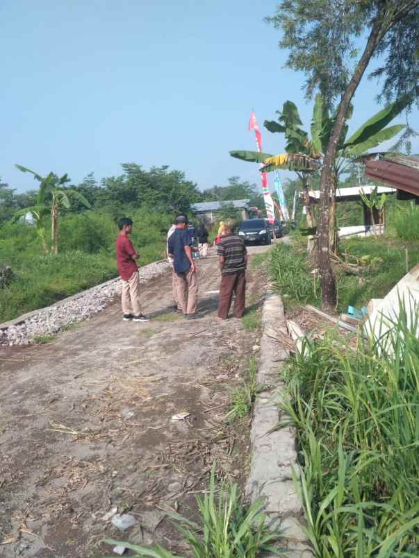 dijual tanah sardonoharjo ngaglik sleman