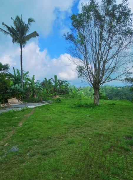 dijual tanah sebatu ubud bali
