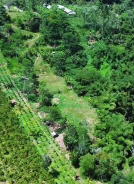 dijual tanah sebatu ubud bali