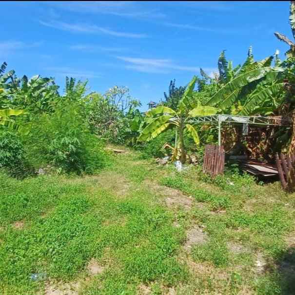 dijual tanah sedap malam