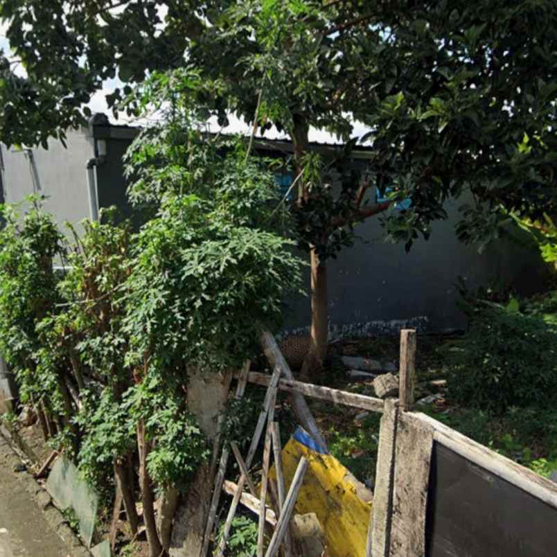 dijual tanah sedap malam