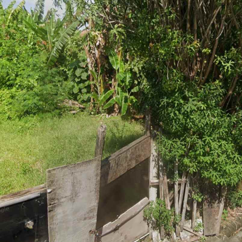 dijual tanah sedap malam