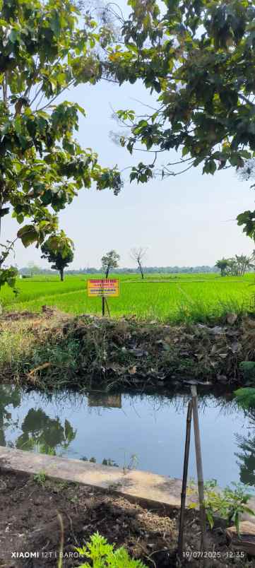 dijual tanah shm dekat pintu tol grati