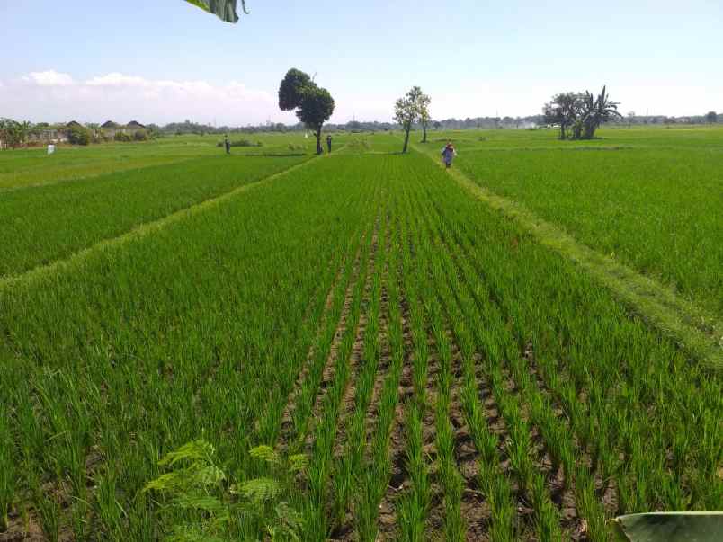 dijual tanah shm dekat pintu tol grati