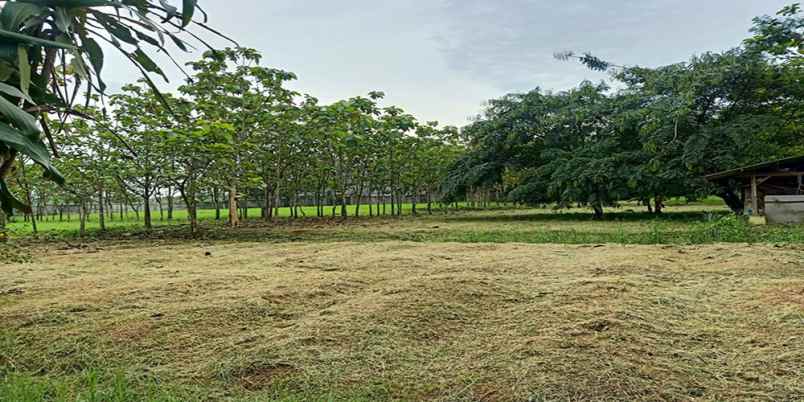 dijual tanah soekarno hatta