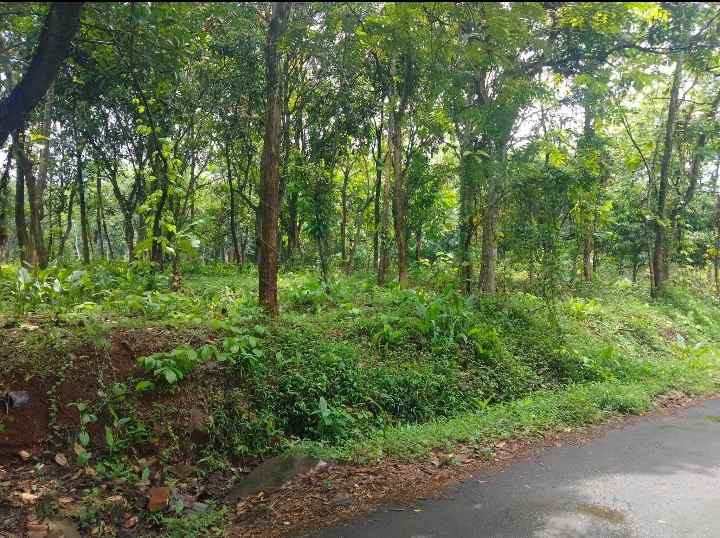 dijual tanah strategis pinggir jalan