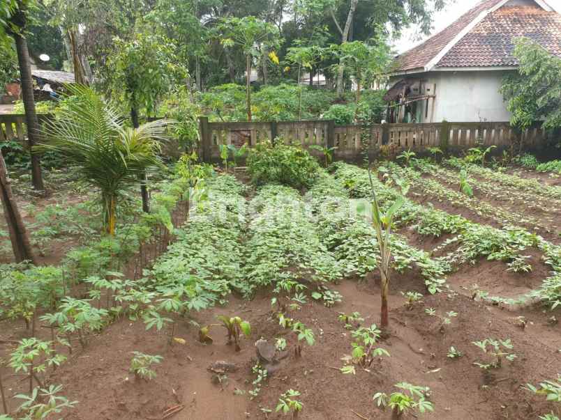 dijual tanah super murah di malingping lebak banten