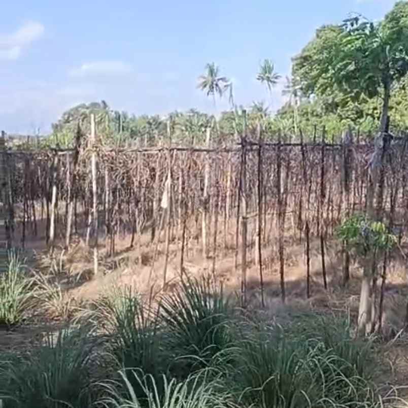 dijual tanah tangguntiti
