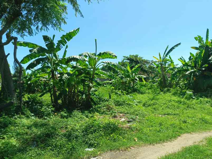 dijual tanah tanjung benoa badung bali