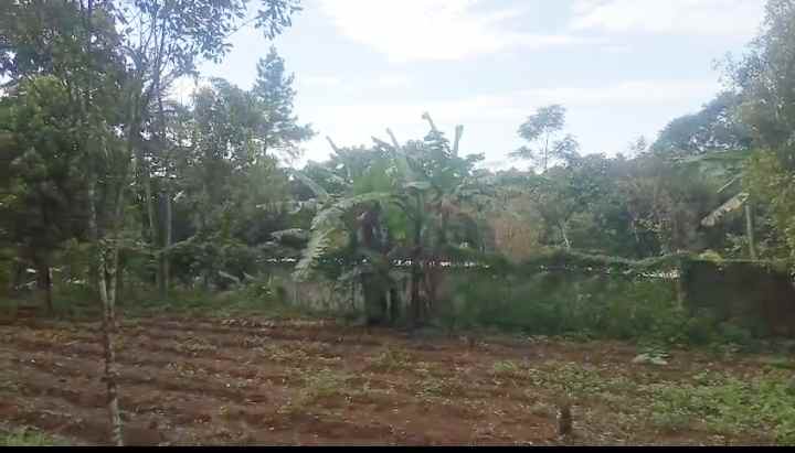 dijual tanah view gunung di linggarjati