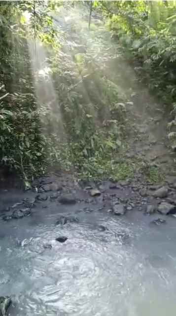 dijual tanah wanagiri kauh selemadeg