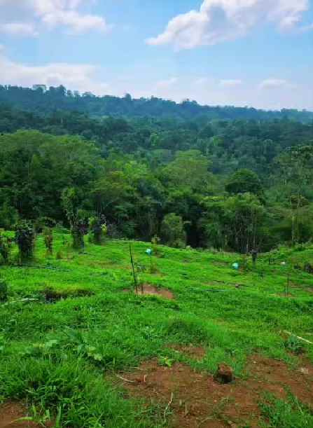 dijual tanah wisdom land tabanan