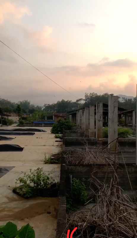 disewakan gudang di trenggalek