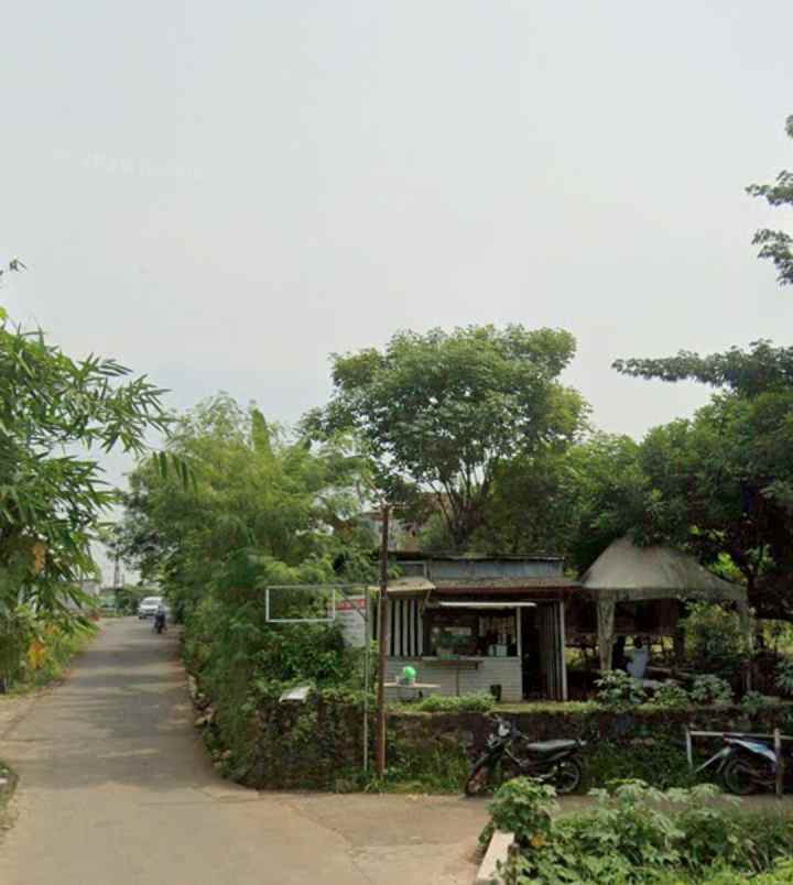 disewakan lahan kebon tahunan