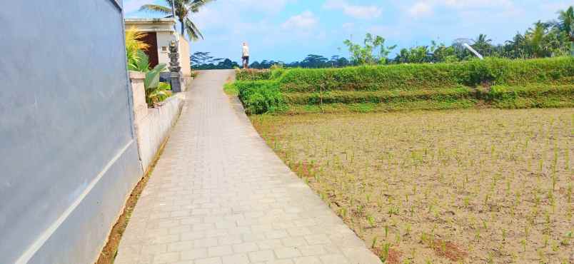 disewakan rumah di tegalalang ubud gianyar bali
