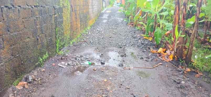 disewakan tanah 1000 m2 kapal mengwi bali