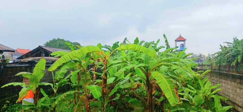 disewakan tanah 1000 m2 kapal mengwi bali