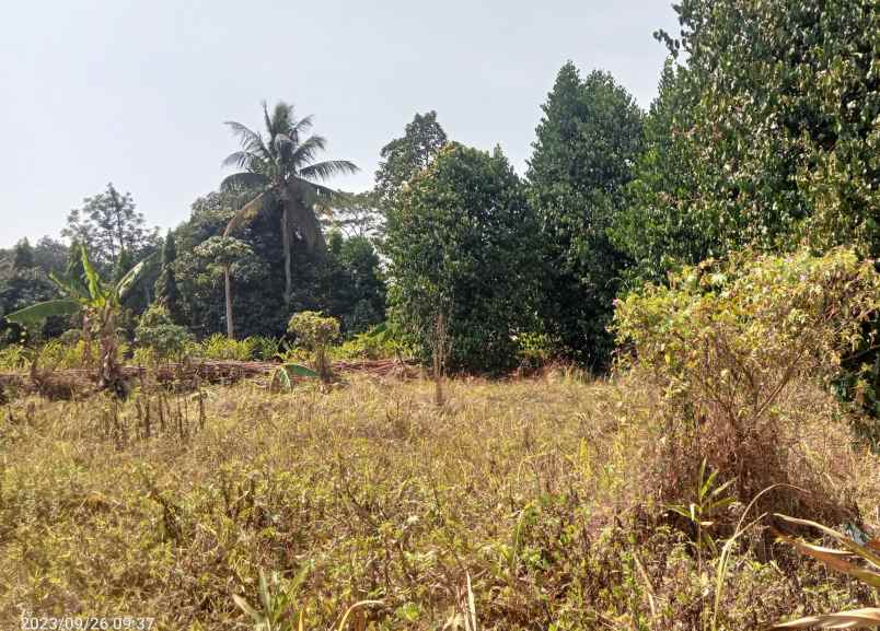 disewakan tanah komersil 2 hektar bantargebang bekasi